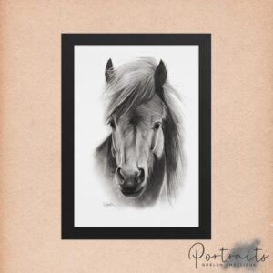 poster en papier mat encadré portrait de cheval aux graphites scanné en haute qualité